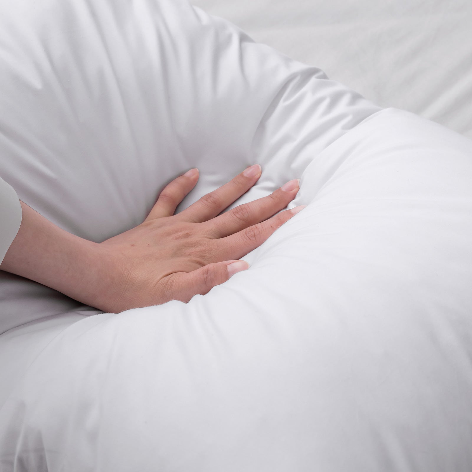 DOWNFOCUS Premium Kissen